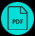 PDF icon